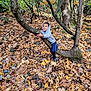 child, hoodie, tree, forest, autumn, leaves, nature, outdoor, smiling, happy, curious, branch, boy, casual_clothing, play, fall, daylight, rocks, scenery, exploration