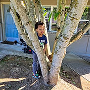 Jeremy joined the competition — help win amazing prizes! child, tree, outdoor, backyard, door, window, sunlight, shadow, curious, peeking, nature, plant, trunk, person, clothing, sneakers, ground, concrete, house, play
