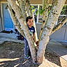 child, tree, outdoor, backyard, door, window, sunlight, shadow, curious, peeking, nature, plant, trunk, person, clothing, sneakers, ground, concrete, house, play
