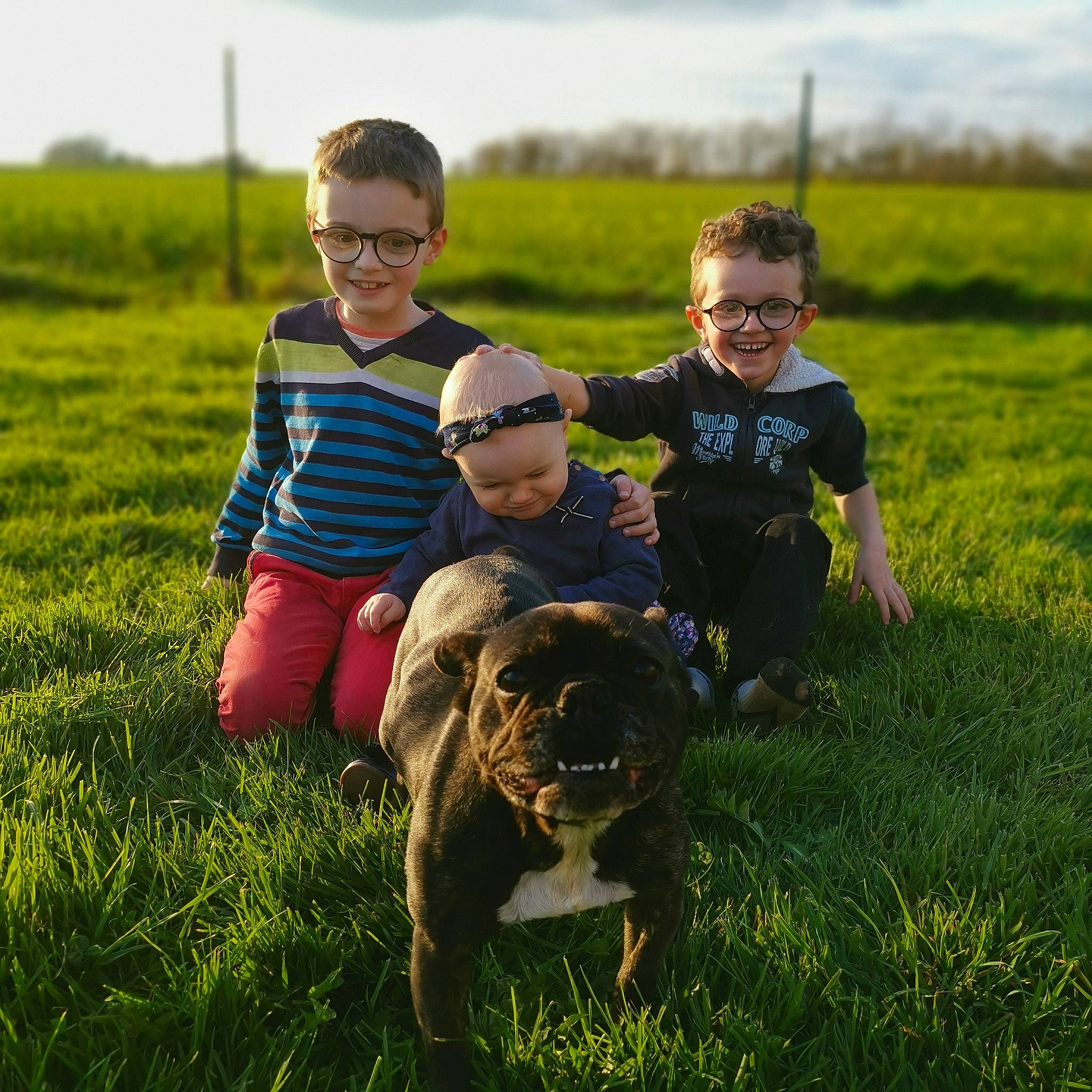 Lalie a rejoint le concours — aidez-le/la à gagner de superbes lots ! canidae, child, dog, dog_breed, farm, fun, grass, grass_family, grassland, green, happy, meadow, pasture, people, play, prairie, rural_area, sky, sporting_group, summer