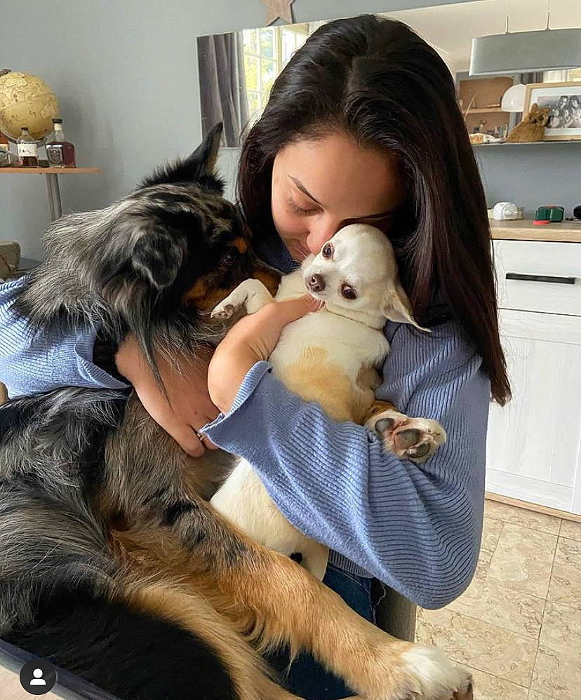 Laya Rose participe au concours pour gagner de l'argent avec cette photo : cabinetry, carnivore, comfort, companion_dog, countertop, dog, dog_breed, fawn, felidae, fur, home_appliance, kitchen, kitchen_appliance, kitchen_stove, lap, long_hair, picture_frame, textile, toy, toy_dog