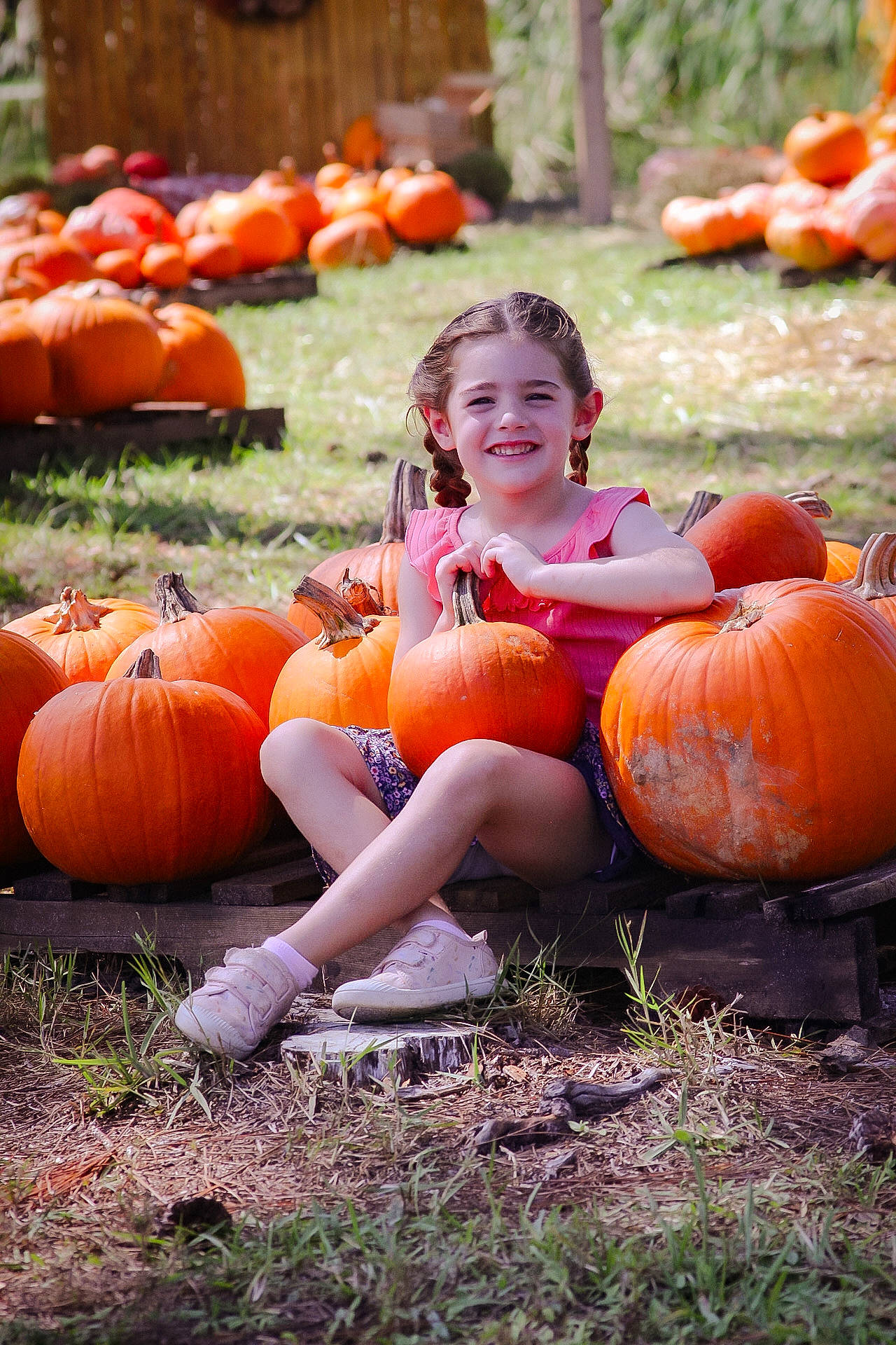 Arabella joined the competition — help win amazing prizes! calabaza, cucurbita, facial_expression, fruit, gourd, grass, happy, human_body, joy, mammal, natural_foods, nature, orange, people_in_nature, person, plant, pumpkin, smile, squash, vertebrate