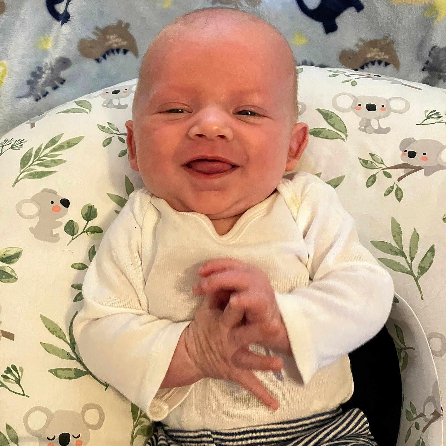 Braxton joined the competition — help win amazing prizes! baby, blanket, child, clothing, comfort, cushion, cute, dinosaur, face, hands, happy, indoors, infant, koala, person, portrait, seated, smiling, striped_pants, white_shirt