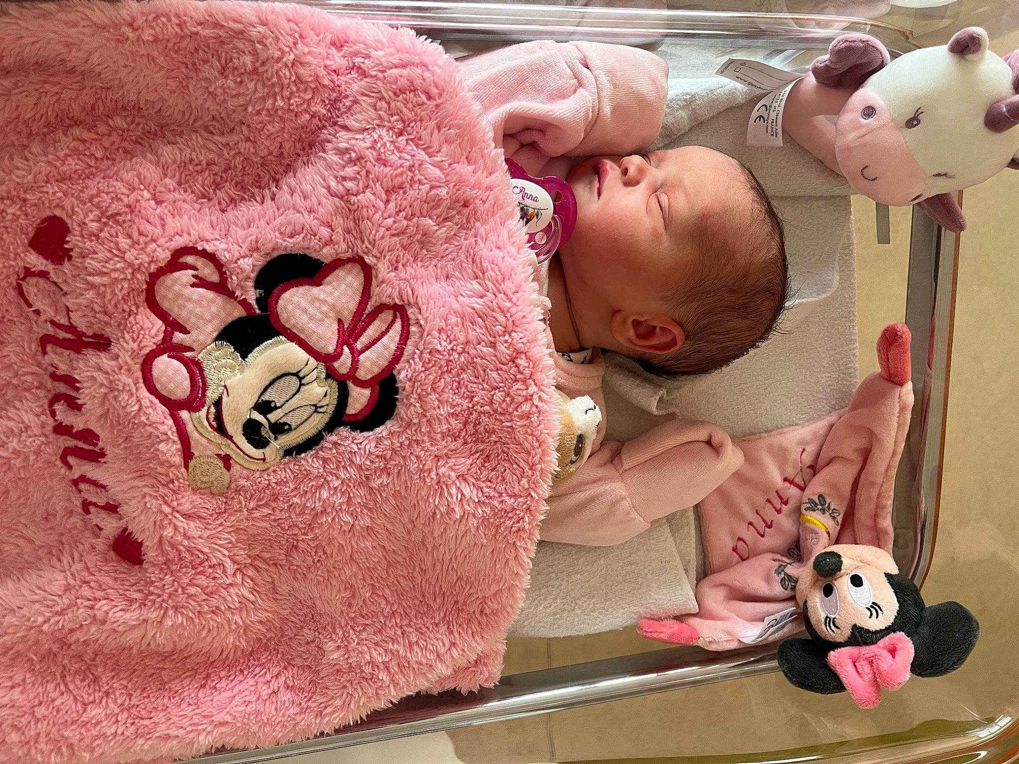 Anna participe au concours pour gagner de l'argent avec cette photo : baby, baby_products, baby_toddler_clothing, baby_toys, child, comfort, fun, happy, linens, magenta, mammal, pattern, person, pink, play, room, stuffed_toy, sweetness, textile, toddler