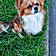 Chouky