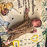 baby, infant, child, sleeping, lying_down, leopard_print, pajamas, floral_blanket, milestone_blanket, one_month, portrait, face, hand, foot, heart, animal_illustration, tiger, bear, nursery, indoors