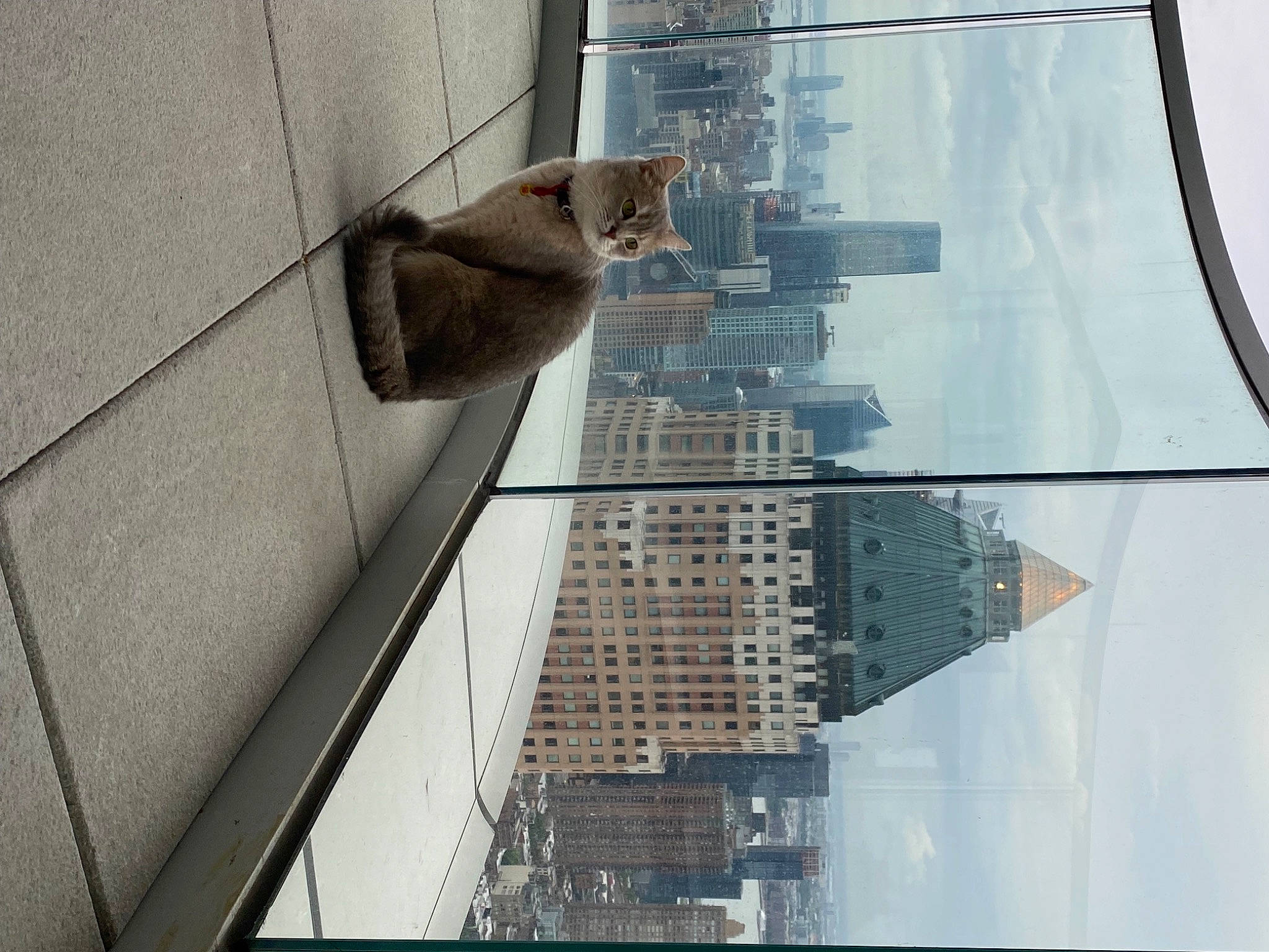 Cola joined the competition — help win amazing prizes! building, city, composite_material, condominium, facade, glass, line, material_property, metal, mixed_use, rectangle, reflection, sky, stairs, tints_and_shades, tower, tower_block, urban_design, window, wood