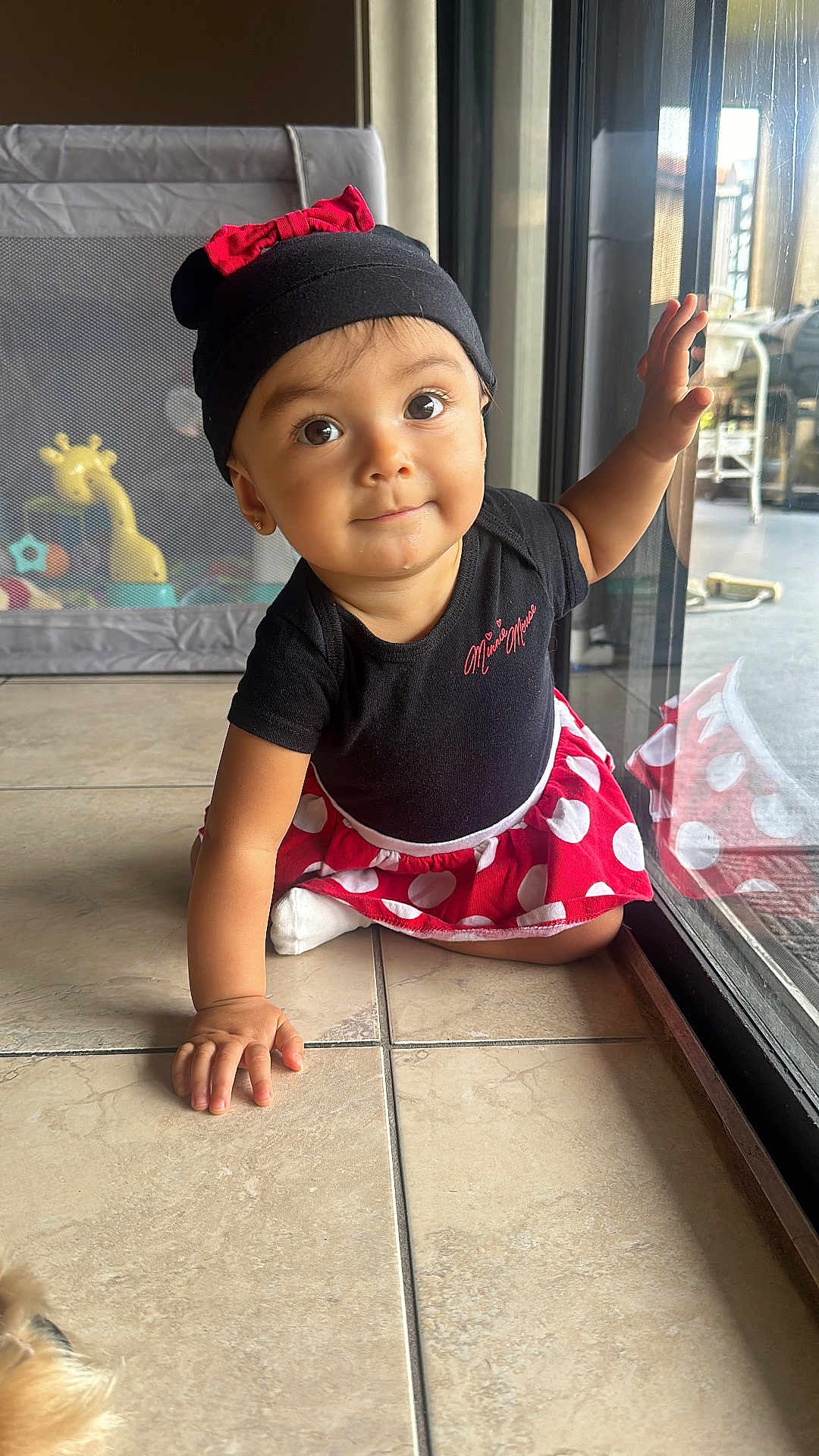 Antonella joined the competition — help win amazing prizes! toddler, child, baby, crawling, floor, window, glass_door, toy, playpen, indoor, clothing, minnie_mouse, hat, red, black, polka_dots, cute, face, eyes, hand