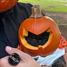 cat, black_cat, pumpkin, halloween, pumpkin_carving, pet, animal, furry, paw, face, outdoor, park, autumn, fall, orange, costume, person, arm, golden_hour, portrait