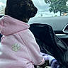 cat, black_cat, hoodie, pink_clothing, pet, animal, car, car_interior, pet_carrier, travel, road_trip, profile, whiskers, green_eyes, sitting, feline, soft_blanket, plush_toy, window, outdoor_background