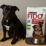 Fido, Purina, animal, black_dog, brown_eyes, companion, dog, dog_food, floor_mat, food_bowl, indoor, kibble, pet, pet_food_bag, portrait, sitting, tile_floor, waiting, water_bowl, white_marking