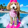 dog, surfboard, water, beach, palm_trees, blue_sky, clouds, pink_bow, bandana, flamingo_pattern, tongue_out, happy, summer, vacation, outdoor, waves, sunny, animal, pet, fun
