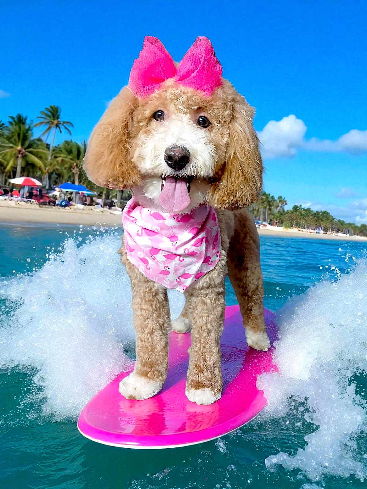 Charm joined the competition — help win amazing prizes! dog, surfboard, water, beach, palm_trees, blue_sky, clouds, pink_bow, bandana, flamingo_pattern, tongue_out, happy, summer, vacation, outdoor, waves, sunny, animal, pet, fun