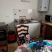 Cacahouéte a rejoint le concours — aidez-le/la à gagner de superbes lots ! building, cabinetry, chest_of_drawers, computer_desk, countertop, cupboard, drawer, floor, flooring, hardwood, home_appliance, house, kitchen, kitchen_appliance, living_room, refrigerator, sink, table, tartan, wood