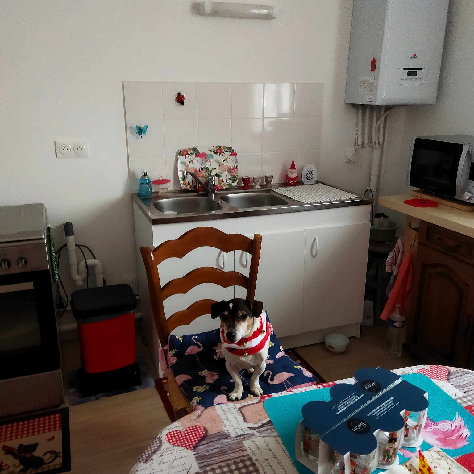 Cacahouéte a rejoint le concours — aidez-le/la à gagner de superbes lots ! building, cabinetry, chest_of_drawers, computer_desk, countertop, cupboard, drawer, floor, flooring, hardwood, home_appliance, house, kitchen, kitchen_appliance, living_room, refrigerator, sink, table, tartan, wood