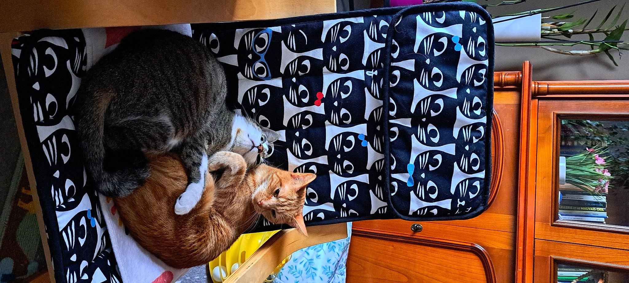 Sabah Et Rahma participe au concours pour gagner de l'argent avec cette photo : art, carnivore, cat, comfort, domestic_short_haired_cat, felidae, fur, pattern, small_to_medium_sized_cats, snout, tail, terrestrial_animal, toy, visual_arts, whiskers, wildlife, working_animal