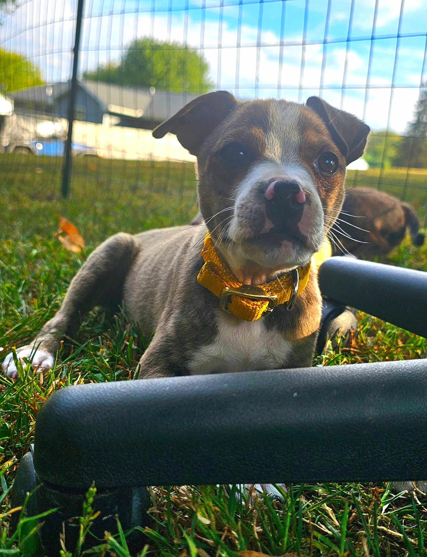 Oliver