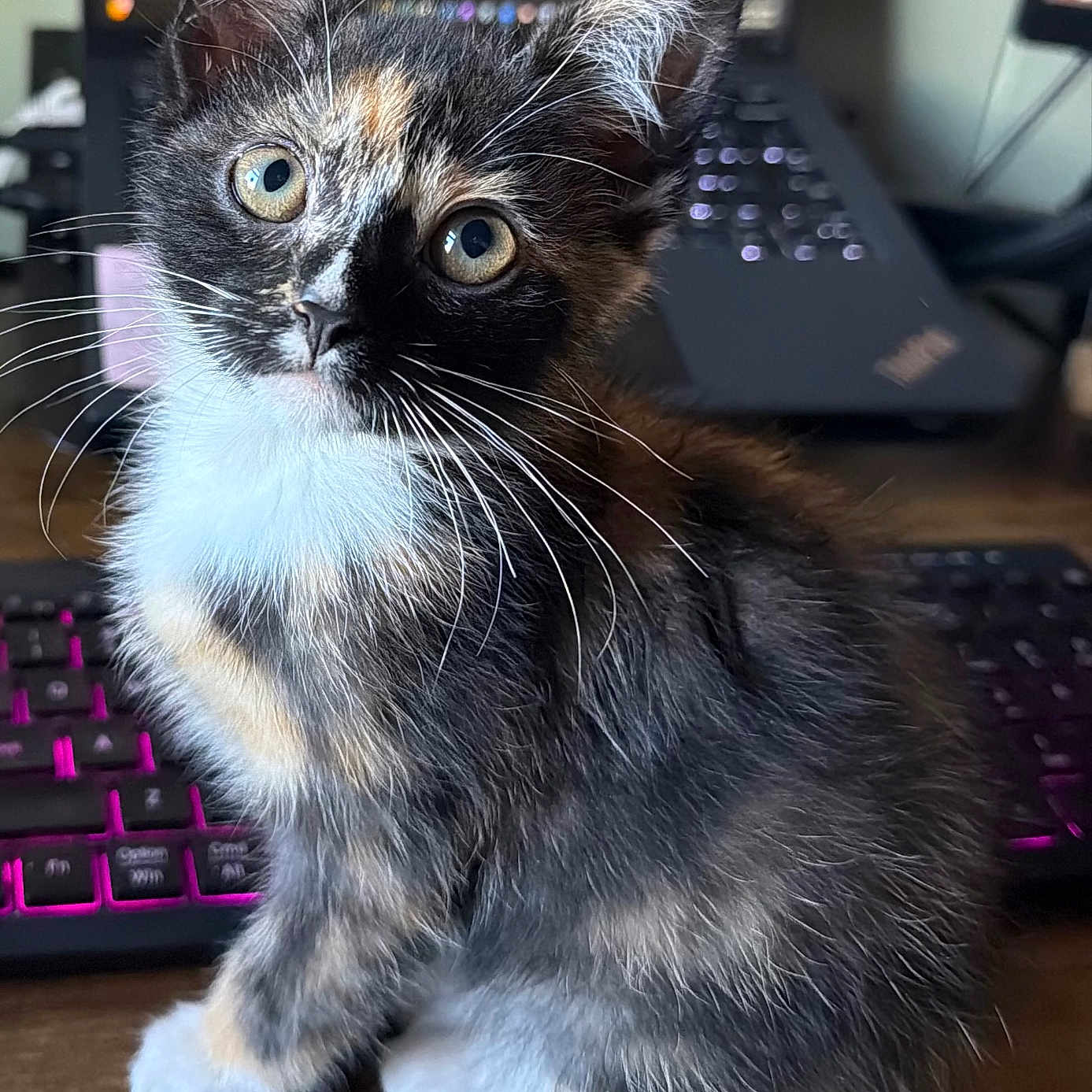 Winnie