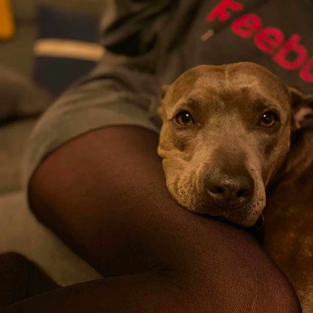 Nala