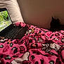Chespirito is registered to the contest to win money with this photo: cat, tablet, blanket, pink, hello_kitty, bed, indoor, animal, dark_cat, screen, nature_video, cable, wall, shadow, cozy, relaxing, patterned_blanket, technology, watching, comfort