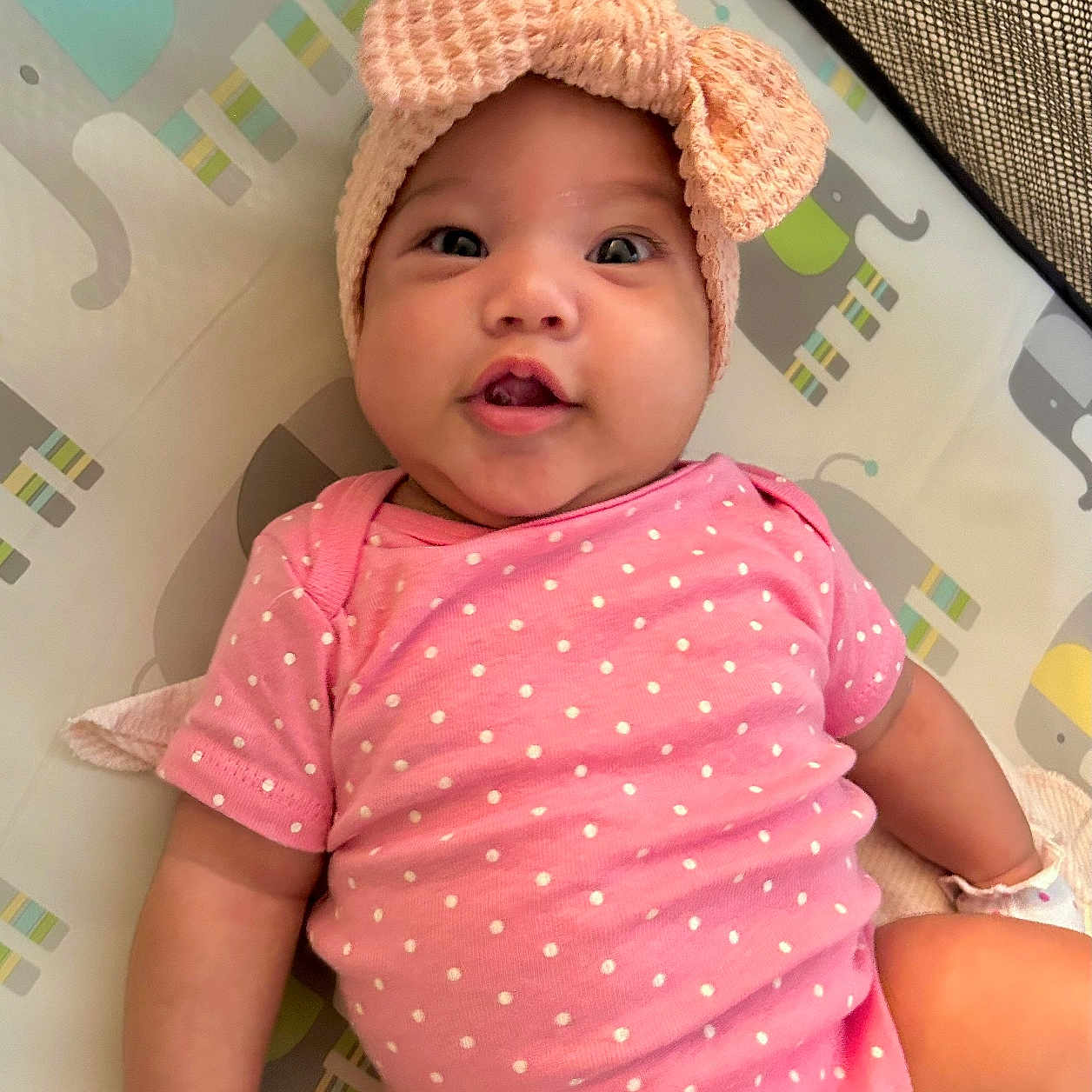Analeia