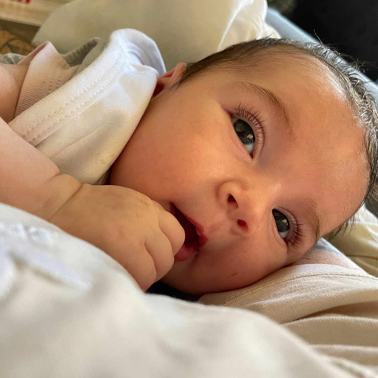 Ambre participe au concours pour gagner de l'argent avec cette photo : baby, closeup, comfort, cozy, cute, eyelashes, eyes, fabric, face, hand, human, indoors, infant, lying_down, newborn, person, portrait, resting, skin, soft