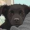 dog, black_dog, illustration, cartoon, blanket, bed, window, fabric, resting, cute, animal, pet, ears, eyes, snout, fur, indoors, cozy, soft_colors, digital_art