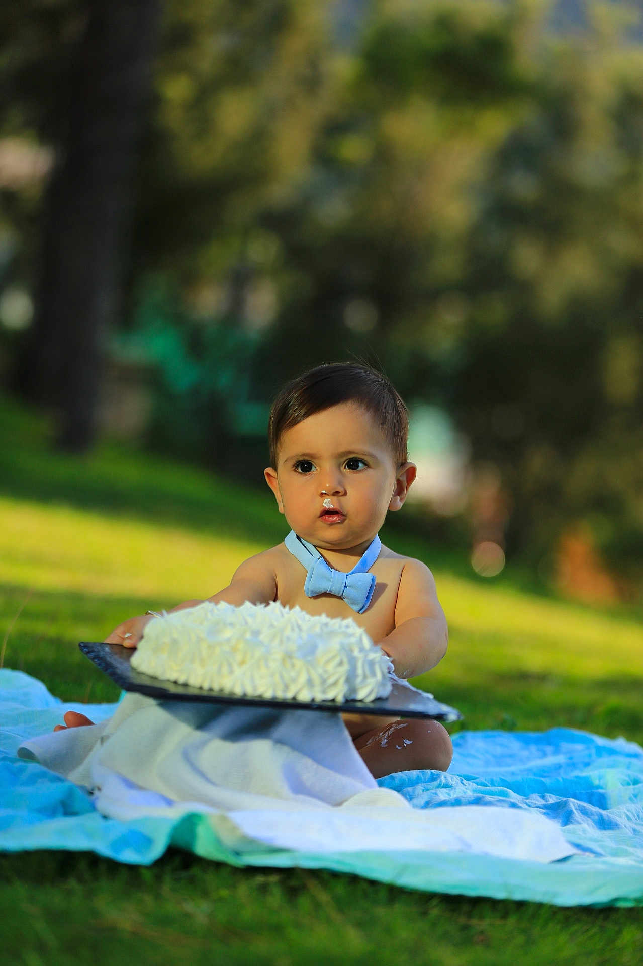 Milan a rejoint le concours — aidez-le/la à gagner de superbes lots ! baby, child, blue_bow_tie, cake, cream, frosting, outdoor, grass, blanket, cute, face, food, sitting, young_child, portrait, nature, summer, expression, celebration, fun