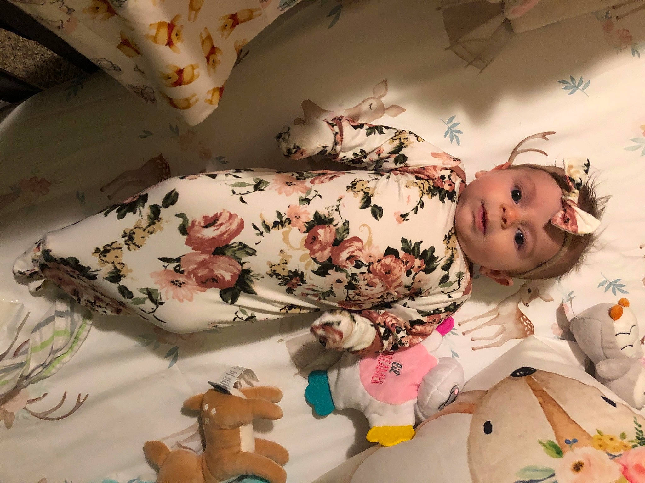 Hadleigh is registered to the contest to win money with this photo: art, baby, baby_toddler_clothing, child, comfort, creative_arts, floral_design, flower, linens, pattern, peach, person, petal, pink, plant, room, rose, sleeve, textile, toddler