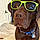 Dexter