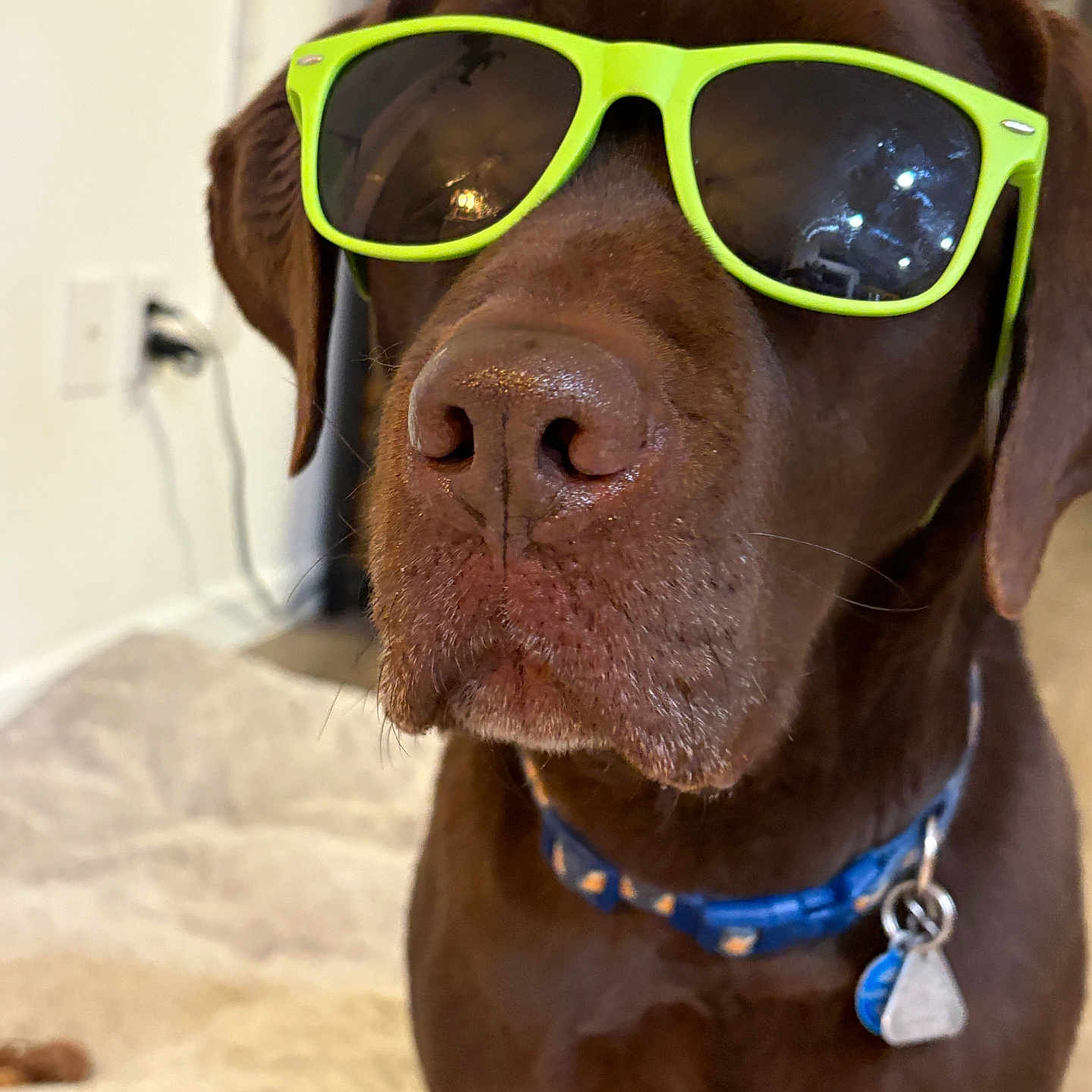 Dexter
