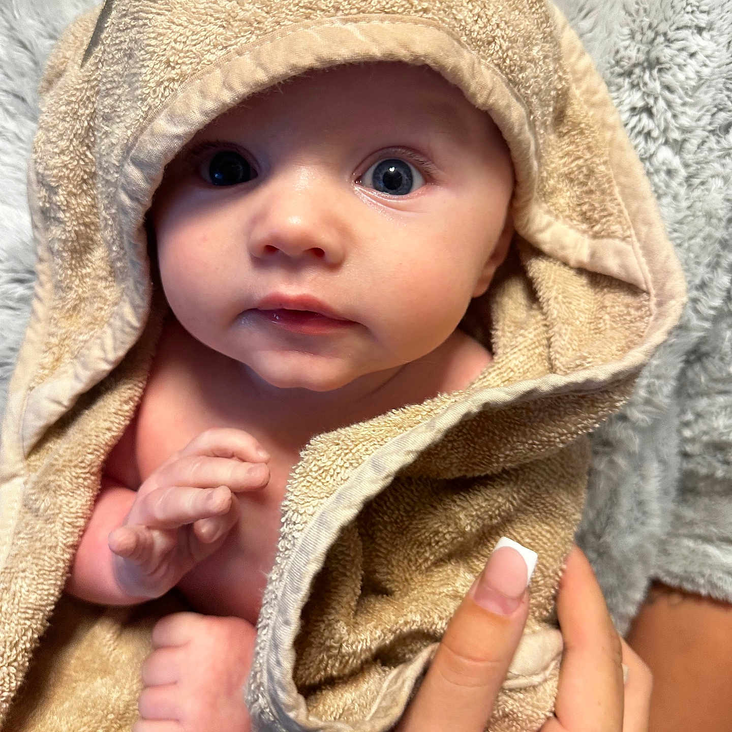 Billy Jay joined the competition — help win amazing prizes! baby, blanket, blue_eyes, child, closeup, comfort, cute, hand, hooded_towel, indoor, infant, manicure, newborn, person, portrait, skin, soft_texture, towel, warm, wrapped