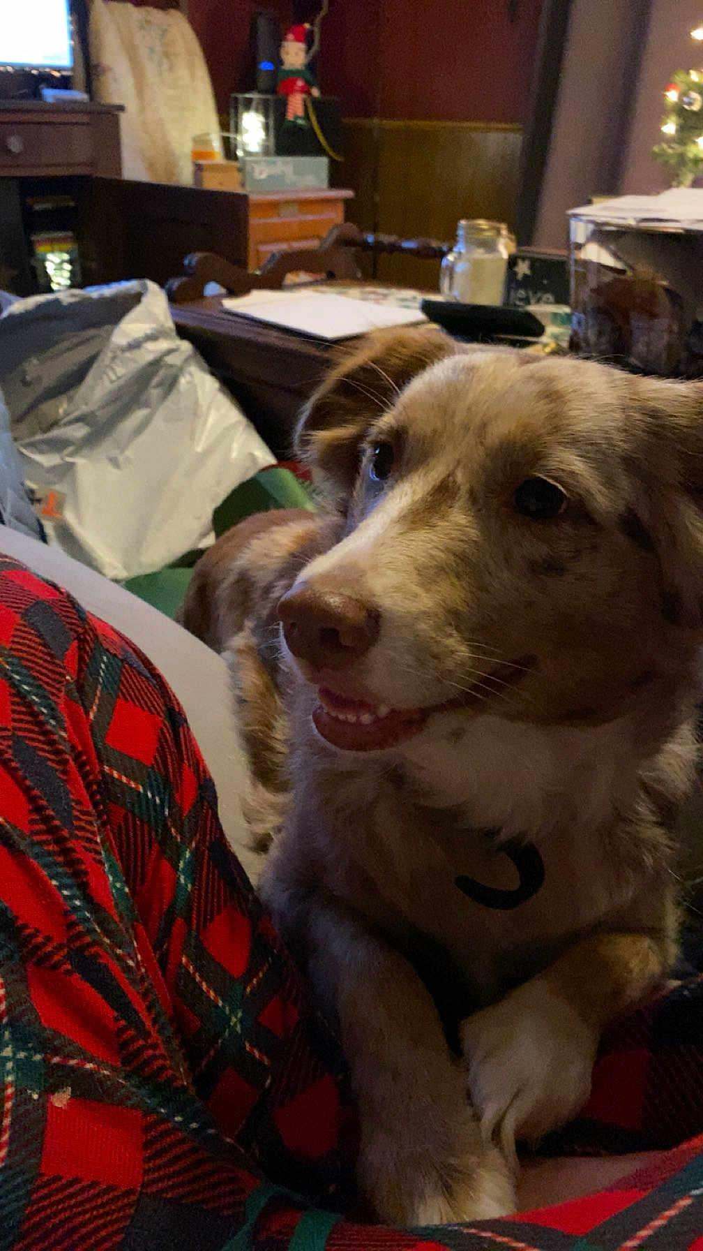 Dixie