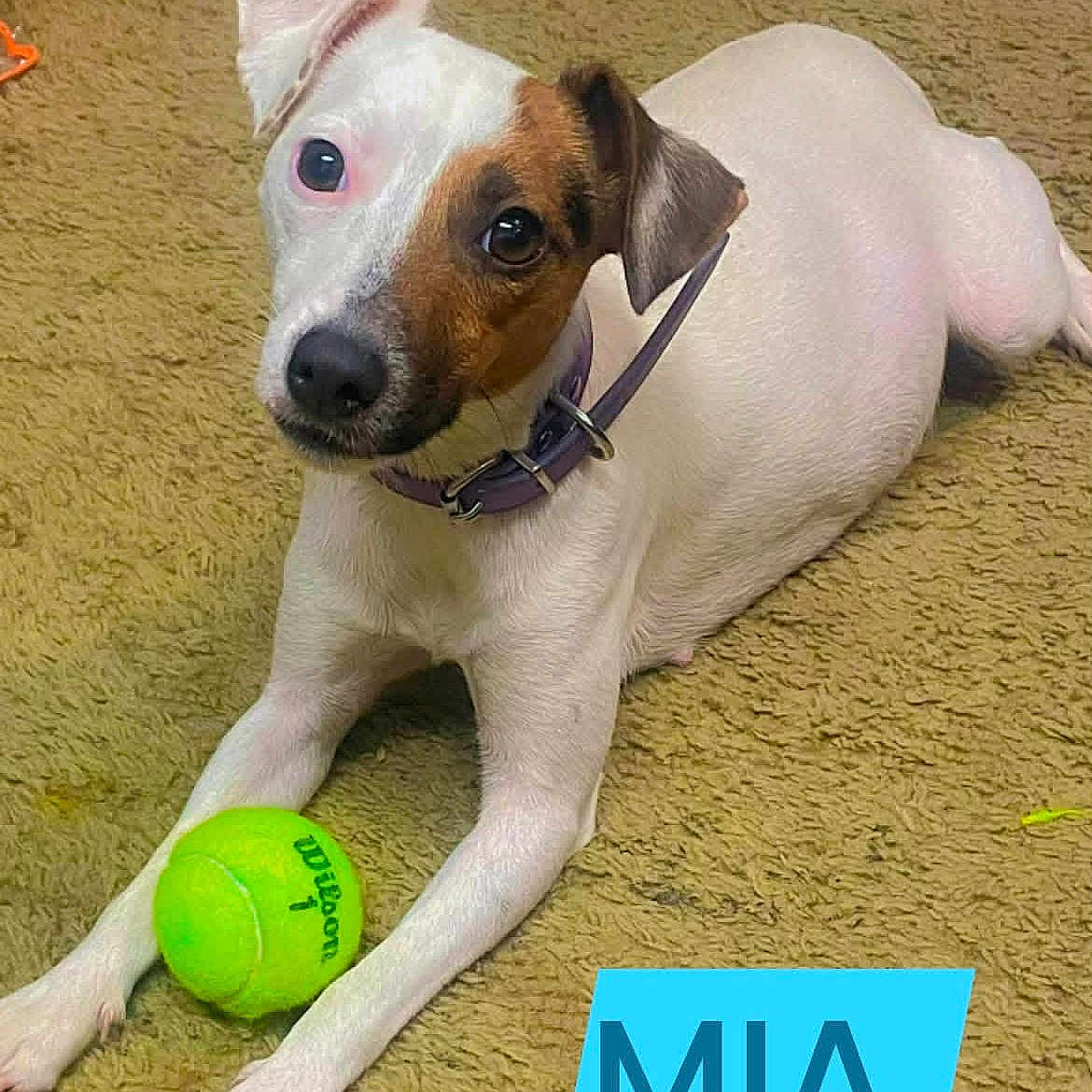 Mia