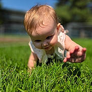 Alexandrya is registered to the contest to win money with this photo: baby, child, grass, outdoor, sunlight, crawling, greenery, nature, summer, toddler, cute, face, hand, skin, young, exploration, daylight, growth, playful, innocence