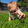baby, child, grass, outdoor, sunlight, crawling, greenery, nature, summer, toddler, cute, face, hand, skin, young, exploration, daylight, growth, playful, innocence
