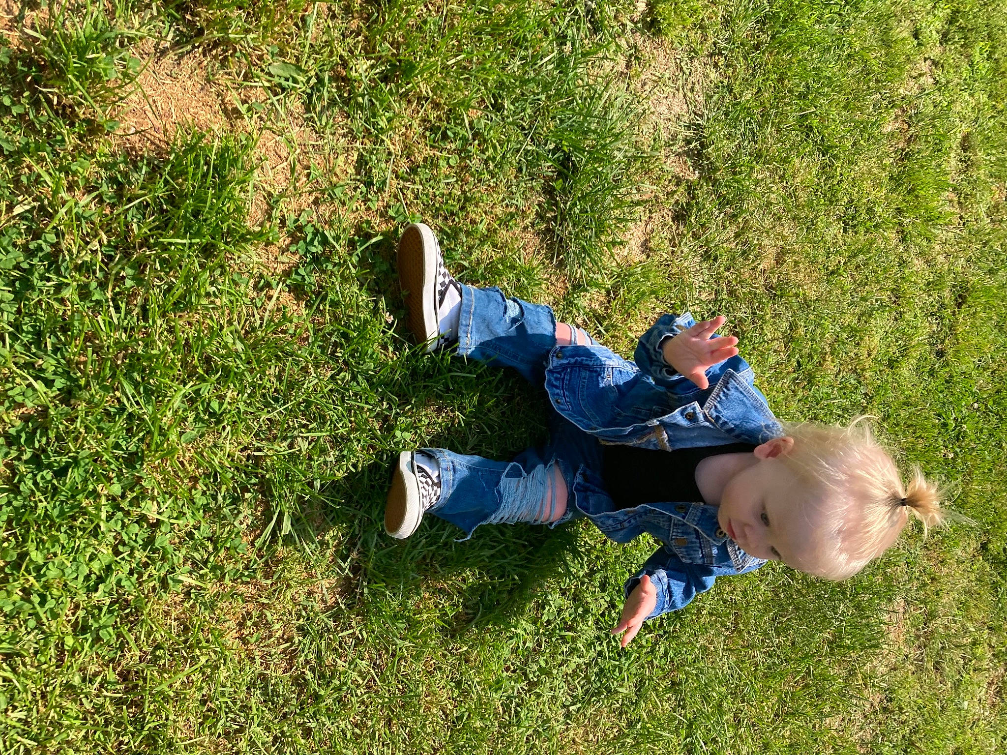 Brodie joined the competition — help win amazing prizes! baby, baby_toddler_clothing, electric_blue, grass, grass_family, grassland, groundcover, happy, lawn, leaf, leisure, meadow, people_in_nature, person, plant, recreation, shadow, sitting, t_shirt, toddler