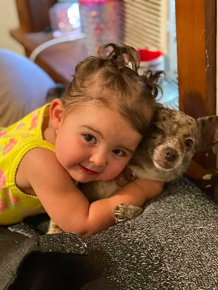 Marilyn joined the competition — help win amazing prizes! brown_hair, carnivore, child, companion_dog, dog, dog_breed, dog_supply, fawn, flooring, fun, happy, mammal, person, sitting, small_terrier, smile, snout, terrier, toddler, toy_dog