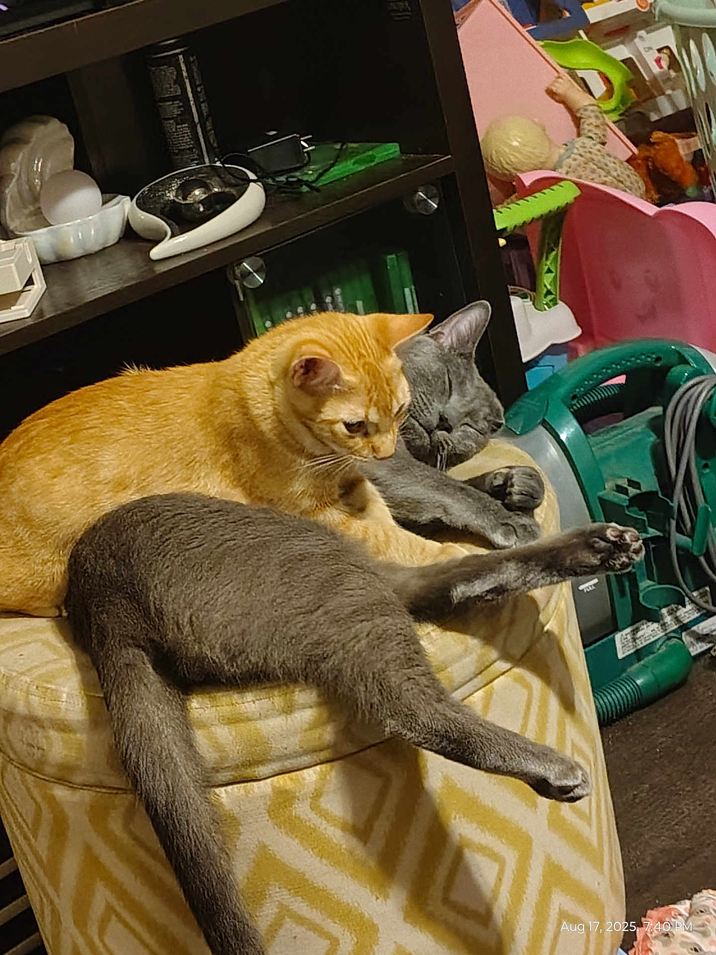 Yoshi joined the competition — help win amazing prizes! cat, orange_cat, gray_cat, pets, feline, resting, cozy, indoor, ottoman, patterned_furniture, cluttered_room, toys, household_items, relaxed, stretching, close_up, animal, fur, domestic, cute