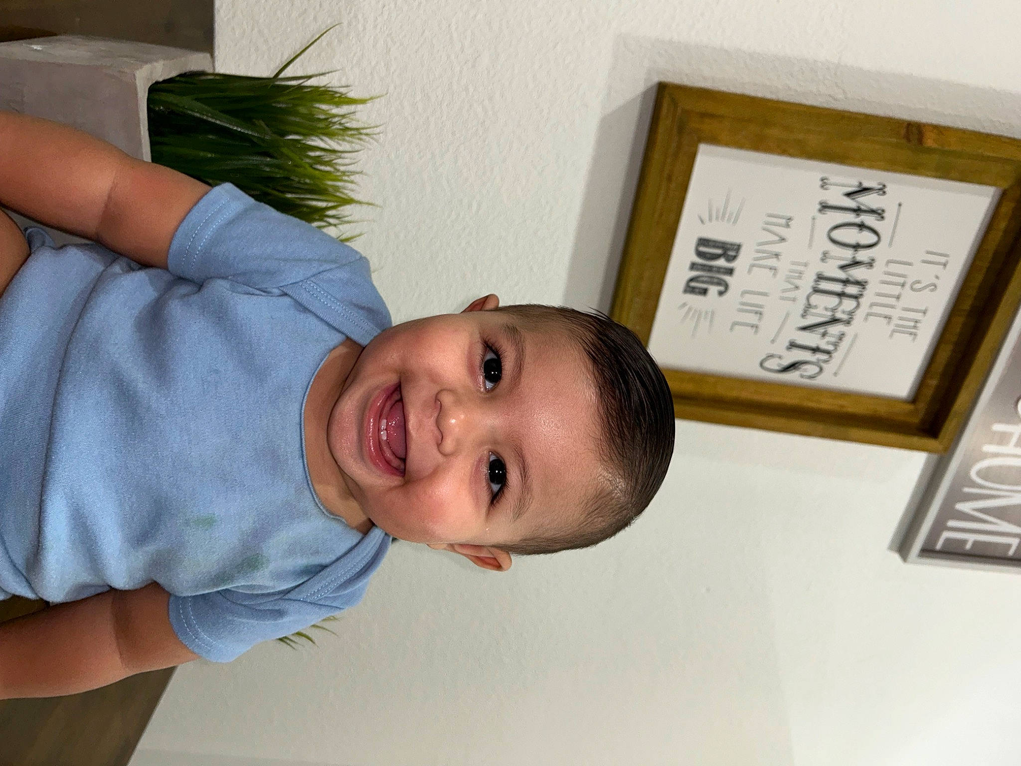 Andres is registered to the contest to win money with this photo: cheek, chest, child, chin, elbow, forehead, fun, gesture, happy, houseplant, human_body, joy, laugh, neck, nose, person, plant, room, smile, t_shirt