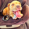 puppy, dog, tongue_out, car_seat, happy, pet, animal, close_up, brown, young_dog, seatbelt, interior, cute, smiling, relaxed, fur, pink_tongue, nose, paw, car_interior