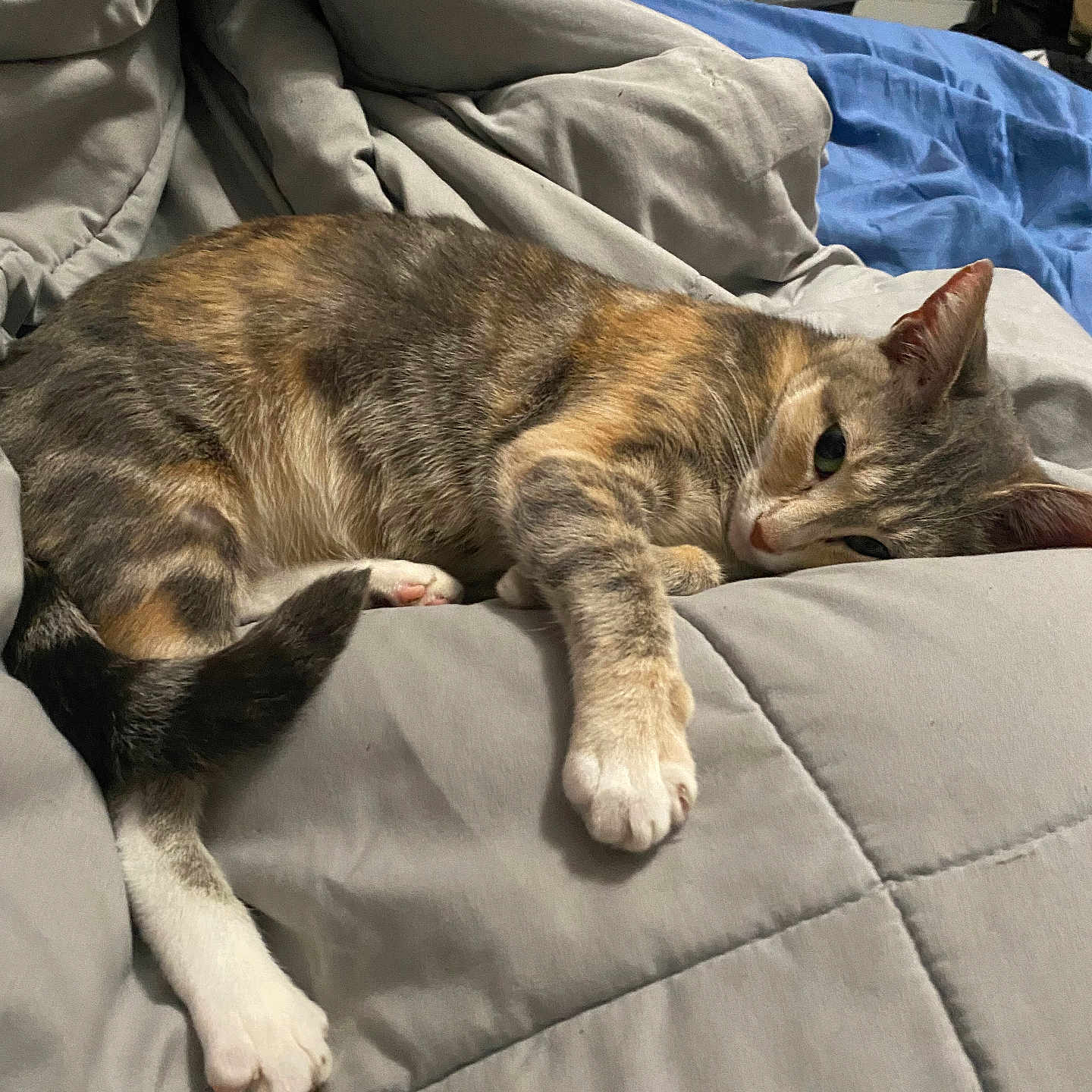 Jinx
