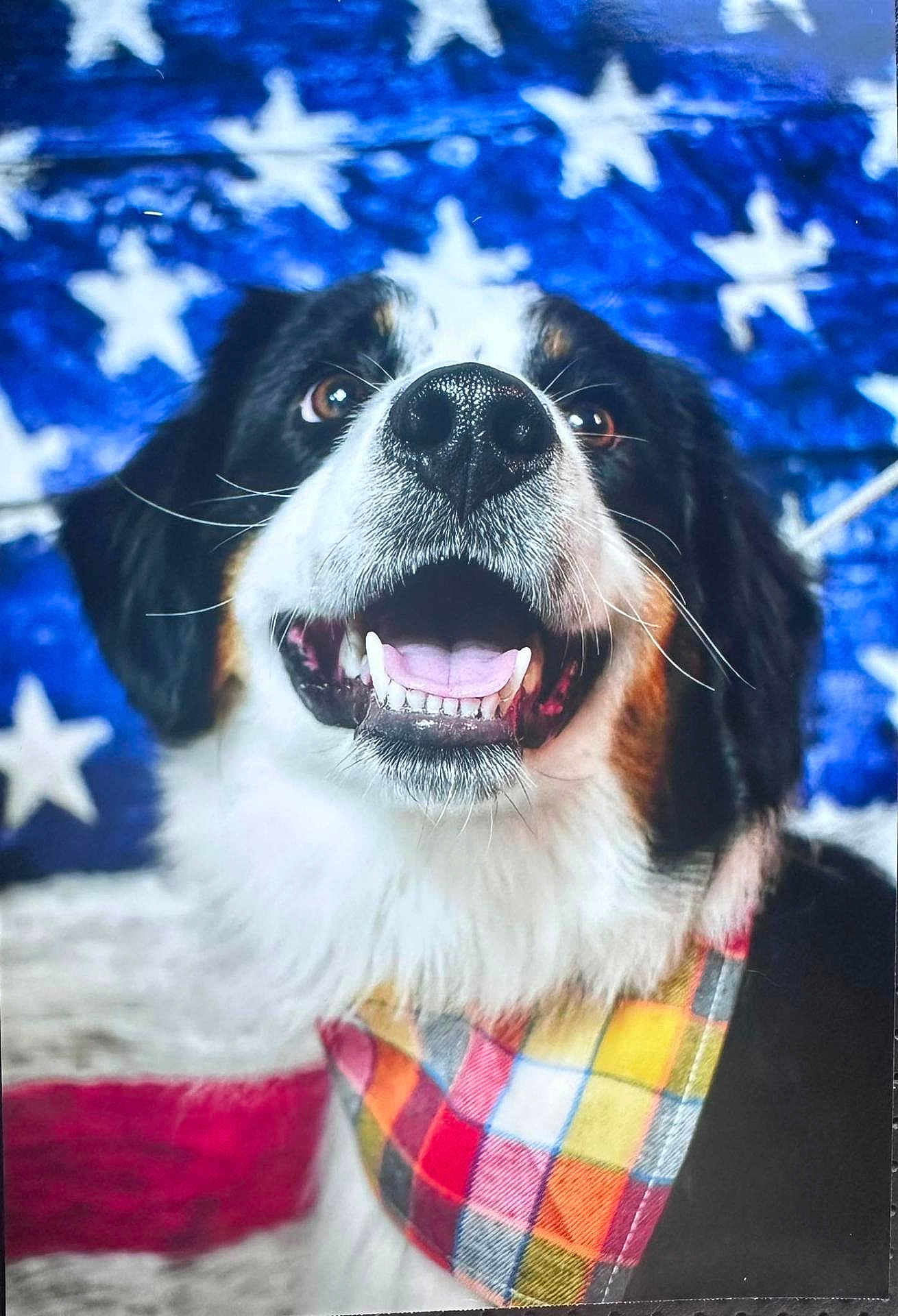 Remi