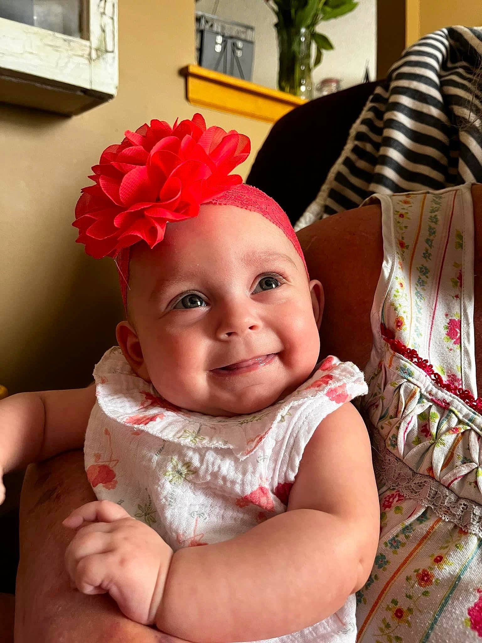 Ellianna joined the competition — help win amazing prizes! baby, baby_toddler_clothing, child, costume_hat, dress, happy, hat, headgear, headpiece, headwear, houseplant, joy, lip, magenta, person, petal, picture_frame, pink, plant, smile