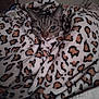 cat, tabby, blanket, leopard_print, cozy, indoor, pet, fur, animal, resting, cute, warm, snuggled, comfortable, soft, bedroom, domestic, relaxed, cute_pet, feline