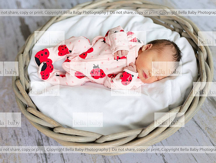 Everly is registered to the contest to win money with this photo: baby, baby_products, baby_safety, baby_sleeping, baby_toddler_clothing, basket, bedding, bedtime, carmine, child, comfort, event, font, headgear, infant_bed, linens, pattern, person, petal, portrait_photography
