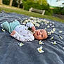 Thomas a rejoint le concours — aidez-le/la à gagner de superbes lots ! baby, infant, blanket, flowers, outdoor, grass, nature, child, cute, lying_down, peaceful, spring, soft_texture, greenery, portrait, small_hands, white_clothing, scattered_flowers, daylight, relaxation