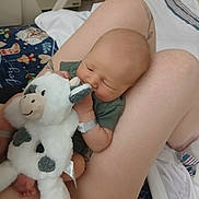 Rowan joined the competition — help win amazing prizes! baby, infant, stuffed_toy, plush, cow, person, legs, tattoo, hospital_bracelet, blanket, bed, comfort, sleepy, cute, soft, indoor, child, holding, toy, relax