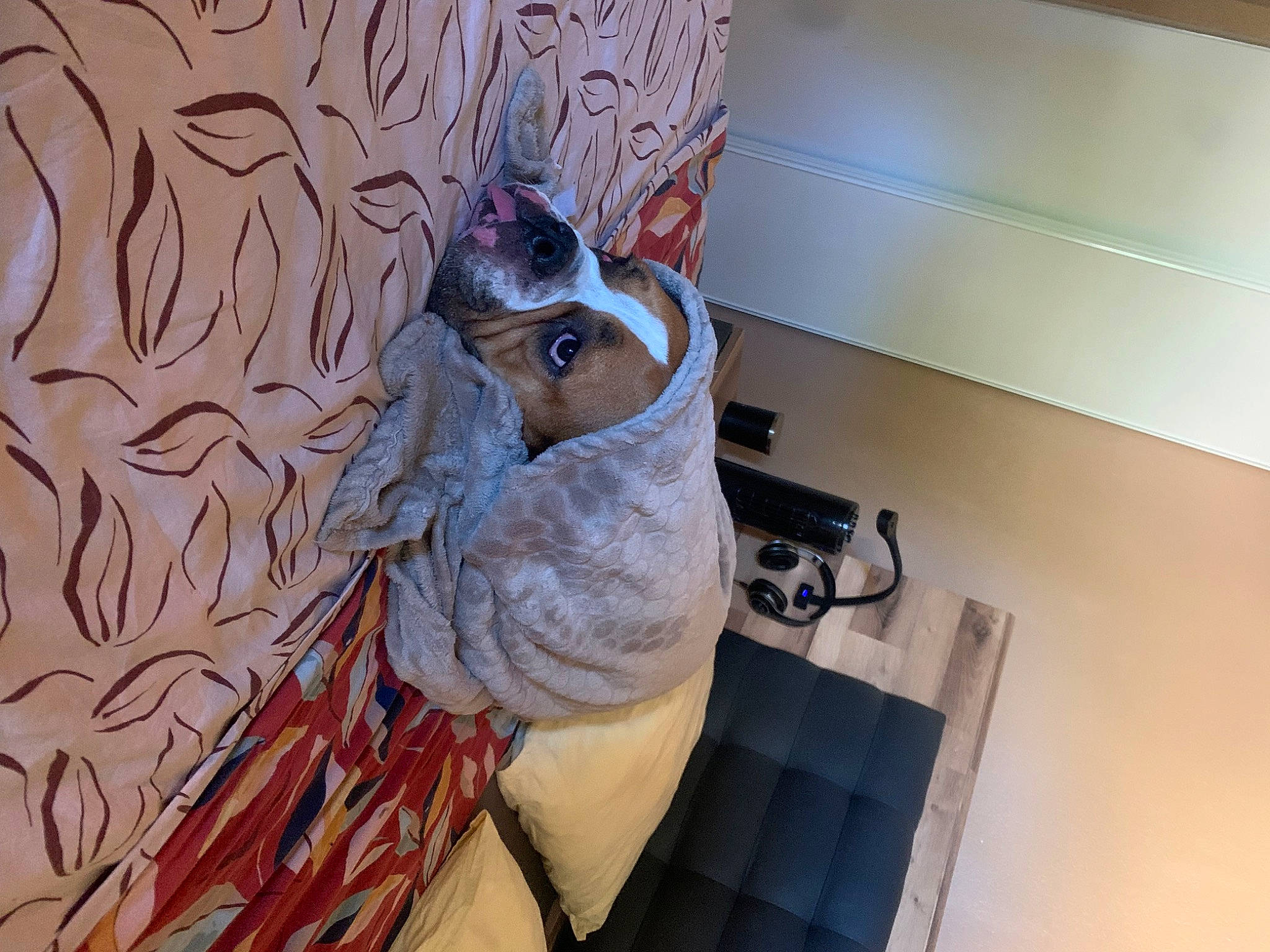 Bouboule participe au concours pour gagner de l'argent avec cette photo : art, carving, ceiling, feather, fictional_character, flooring, fur, illustration, interior_design, modern_art, painting, pattern, plaster, room, sculpture, toy, tree, visual_arts, wood