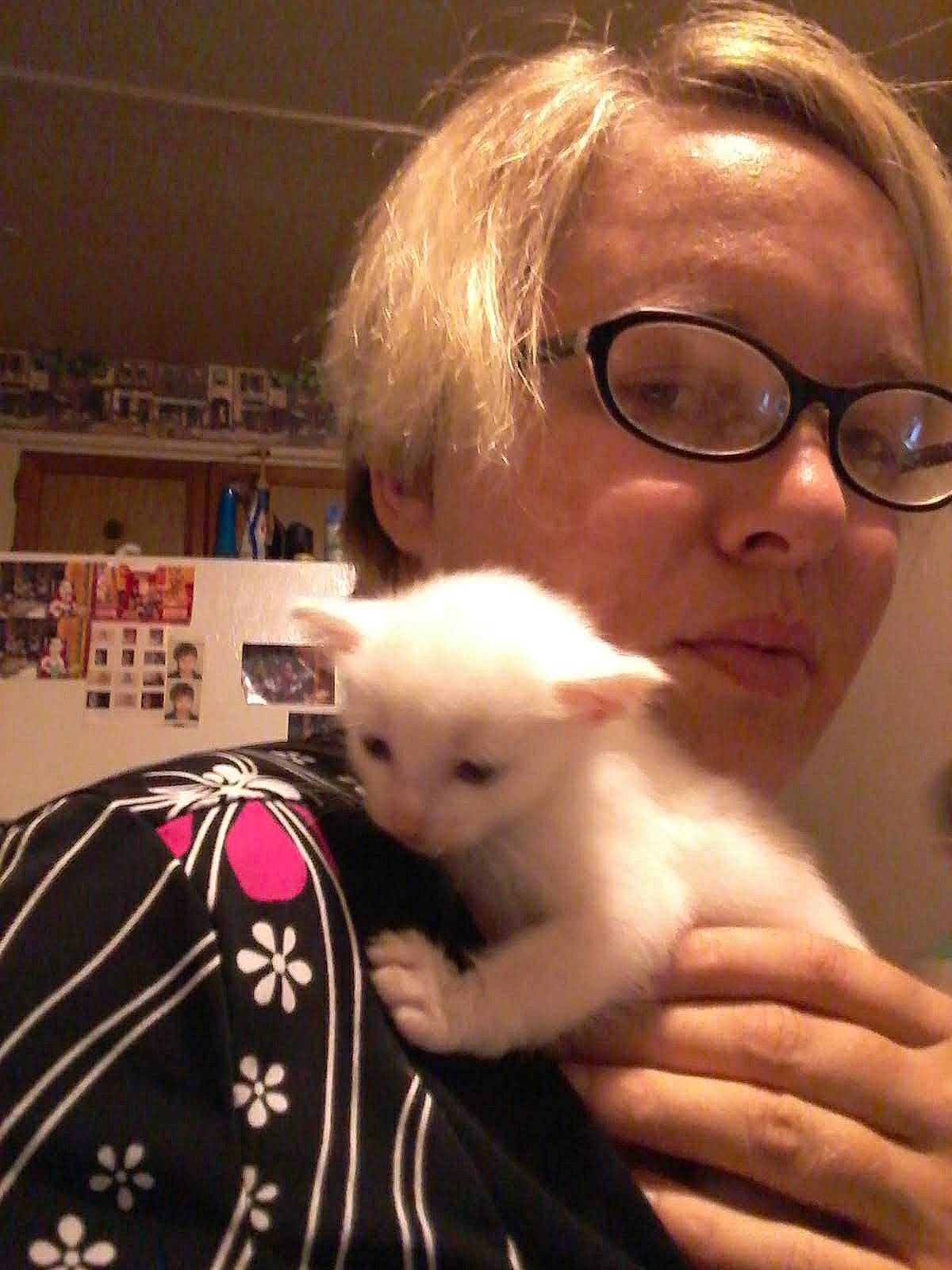 Alistar joined the competition — help win amazing prizes! abdomen, beauty, canidae, carnivore, cat, companion_dog, ear, eyewear, fawn, felidae, fur, gesture, glasses, hair, pattern, sitting, small_to_medium_sized_cats, smile, vision_care, whiskers